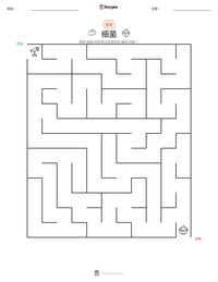 细菌 可打印工作表预览