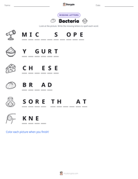 Bacteria printable worksheet preview