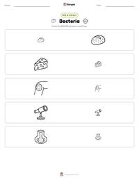 Bacteria printable worksheet preview