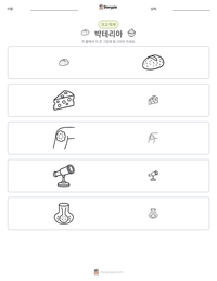 박테리아 인쇄 가능한 워크시트 미리보기