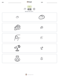 细菌 可打印工作表预览