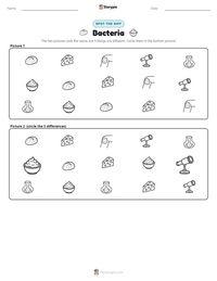 Bacteria printable worksheet preview