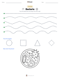 Bacteria printable worksheet preview