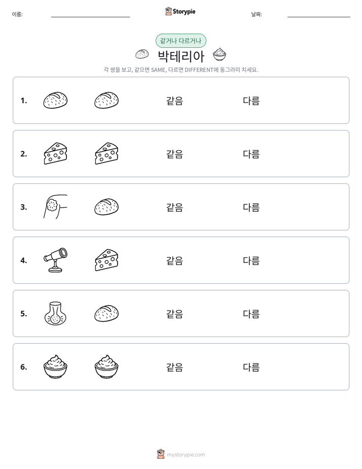 같은 것 또는 다른 것
