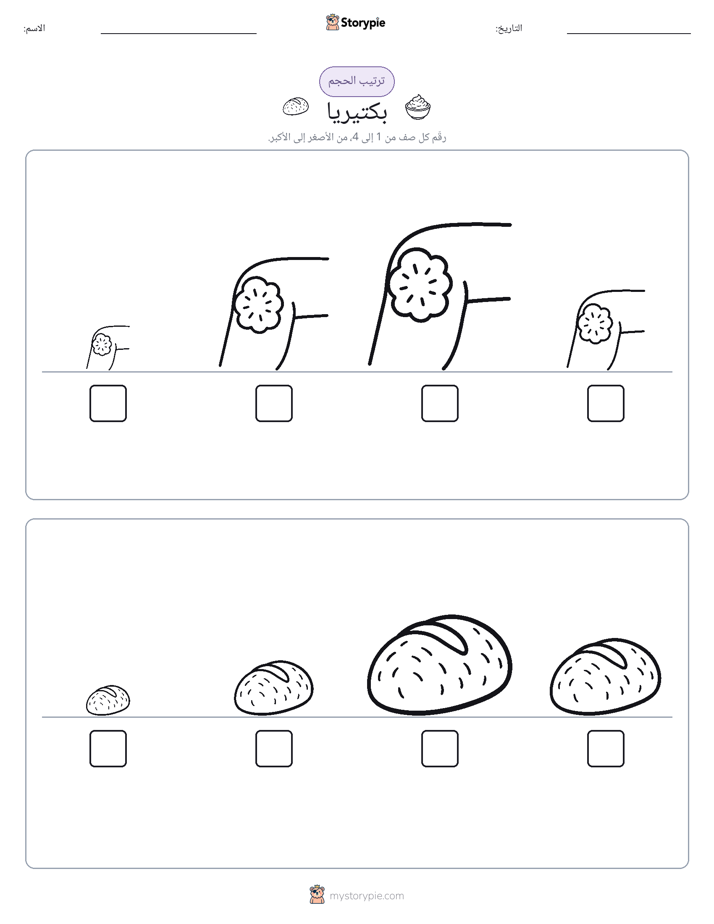 ترتيب الحجم