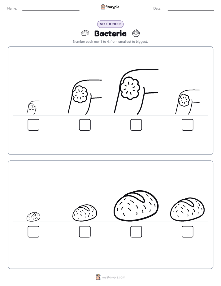 Size Order