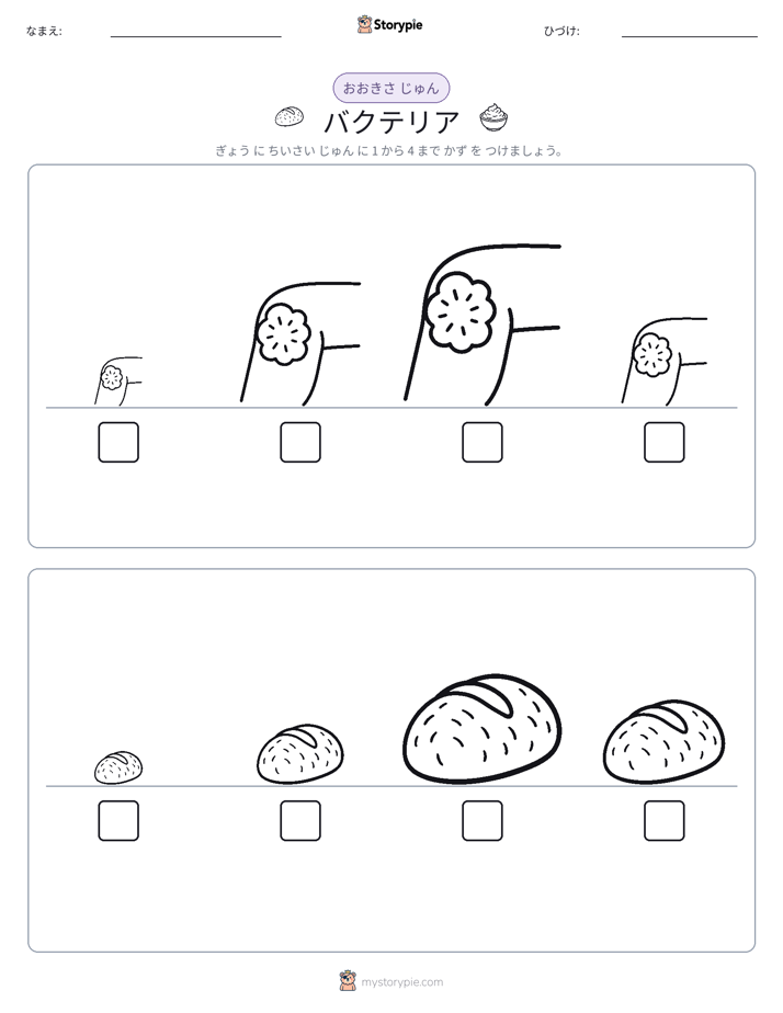 サイズ順