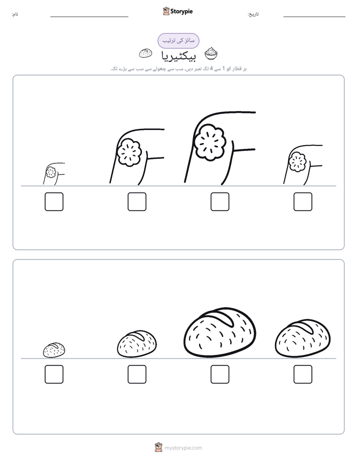 سائز کی ترتیب