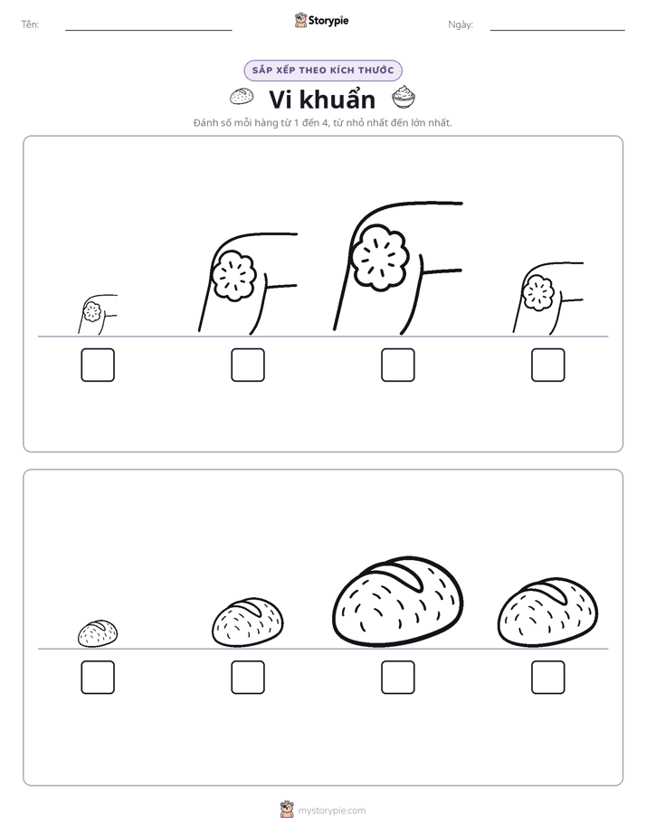 Thứ Tự Kích Thước