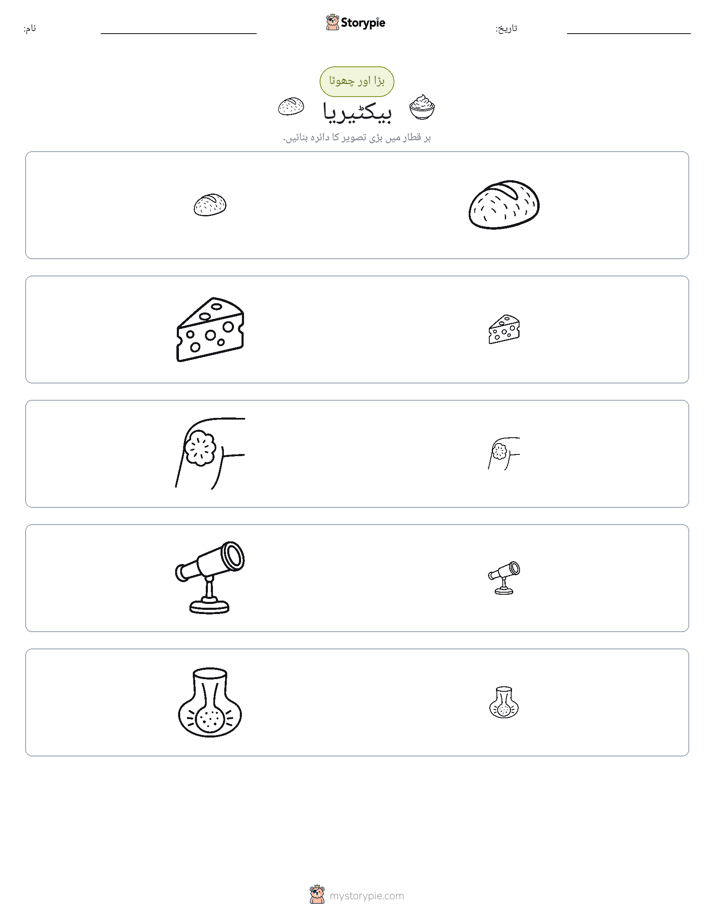 ترتیب دینا
