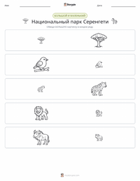 Национальный парк Серенгети предварительный просмотр распечатываемого рабочего листа