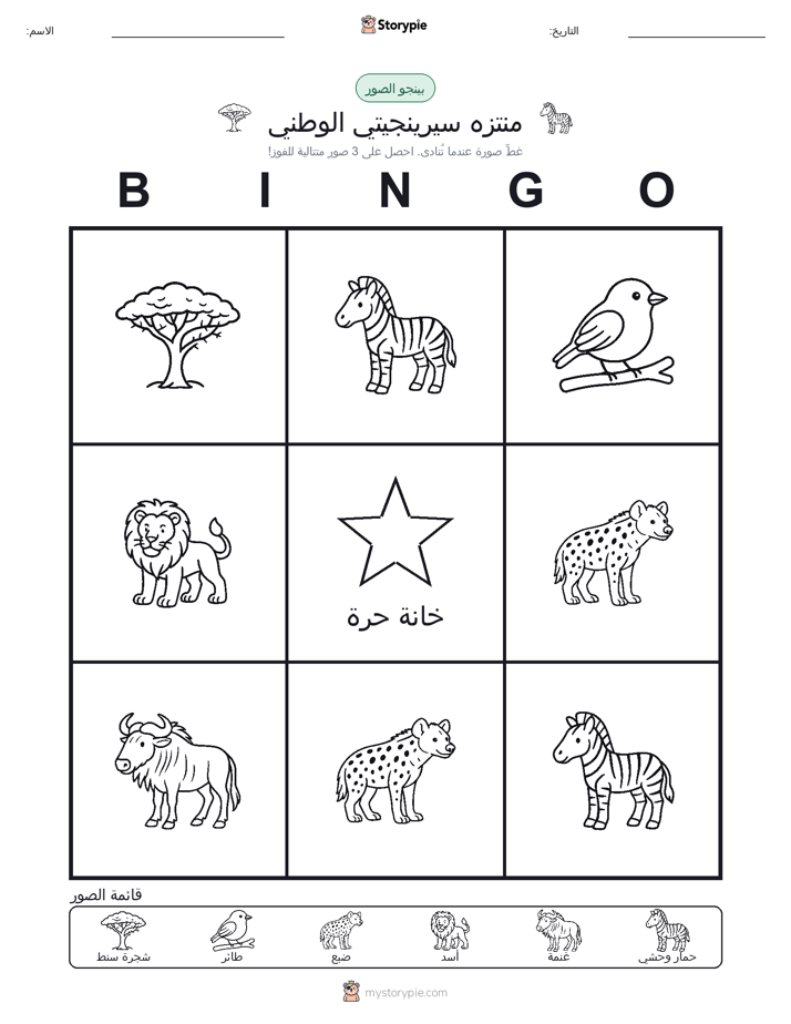 بينغو الصور
