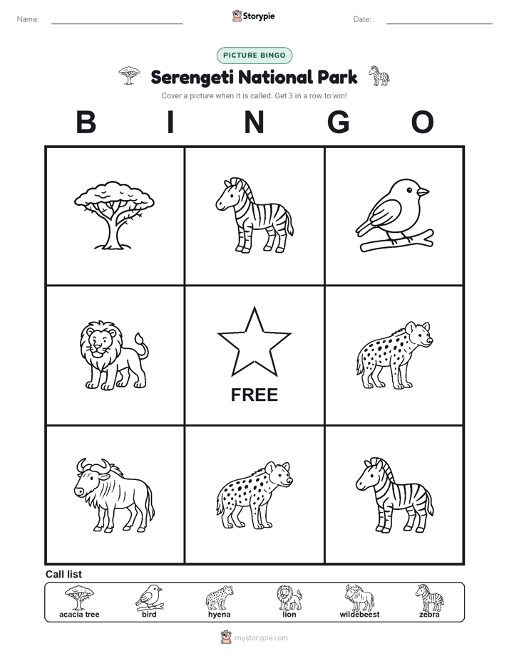 Picture Bingo