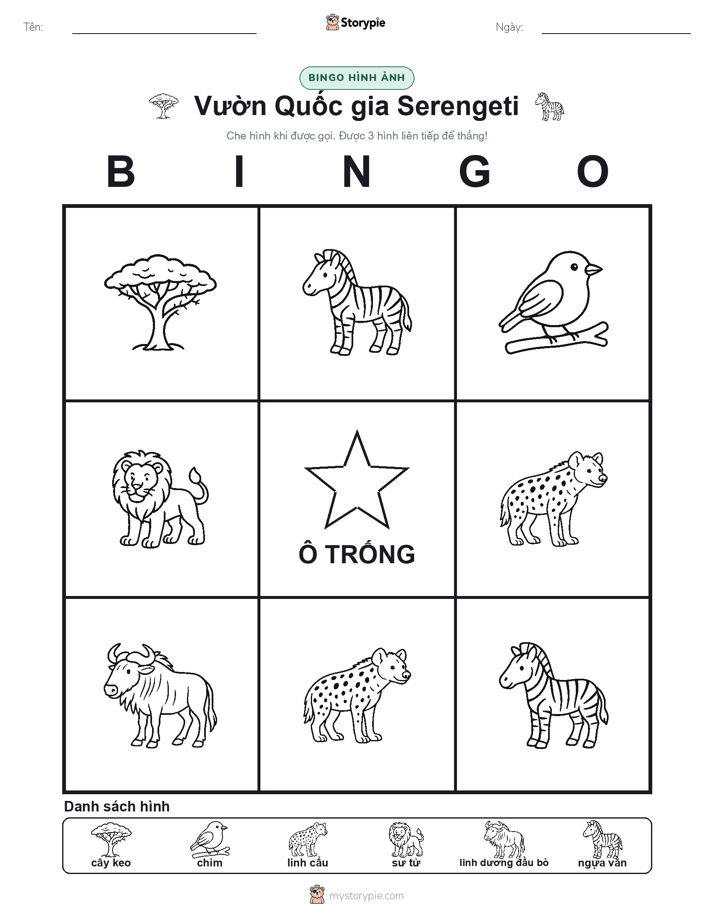 Bingo Hình Ảnh