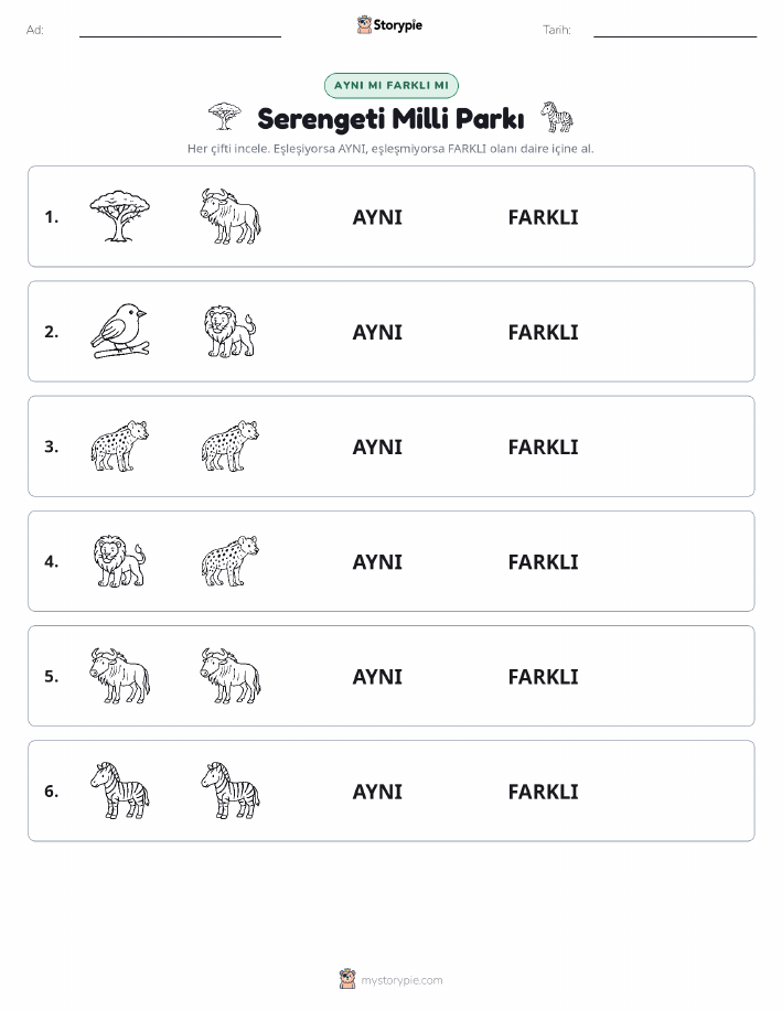 Aynı mı Farklı mı