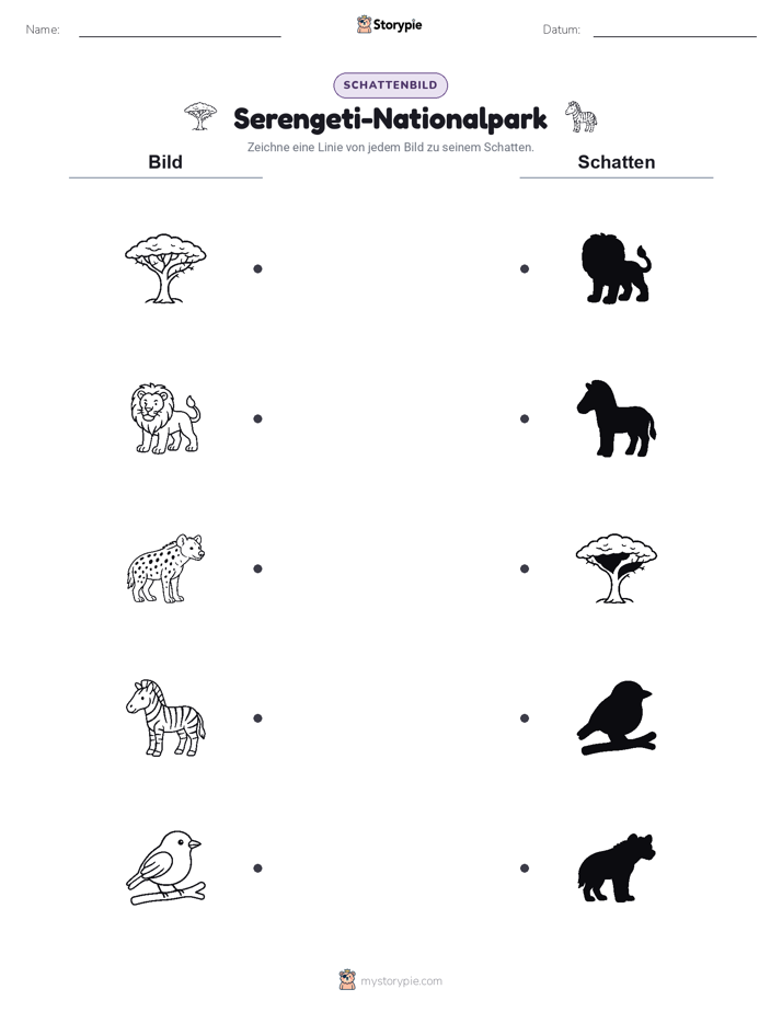 Schattenmatch