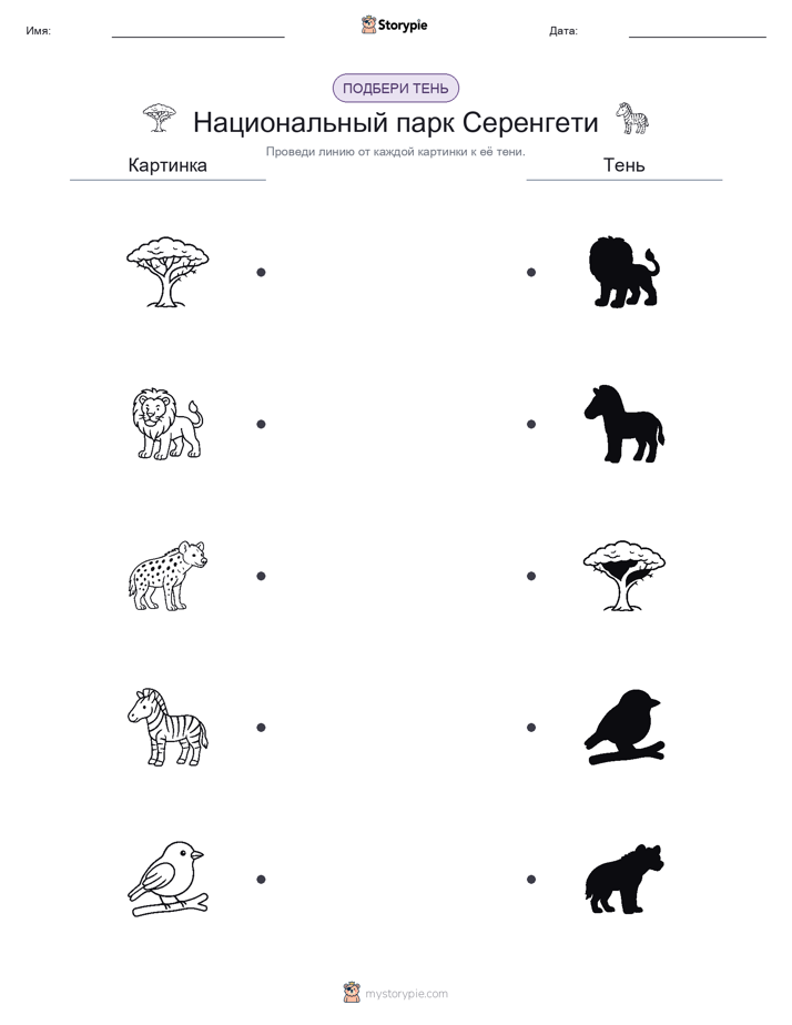 Сопоставление теней