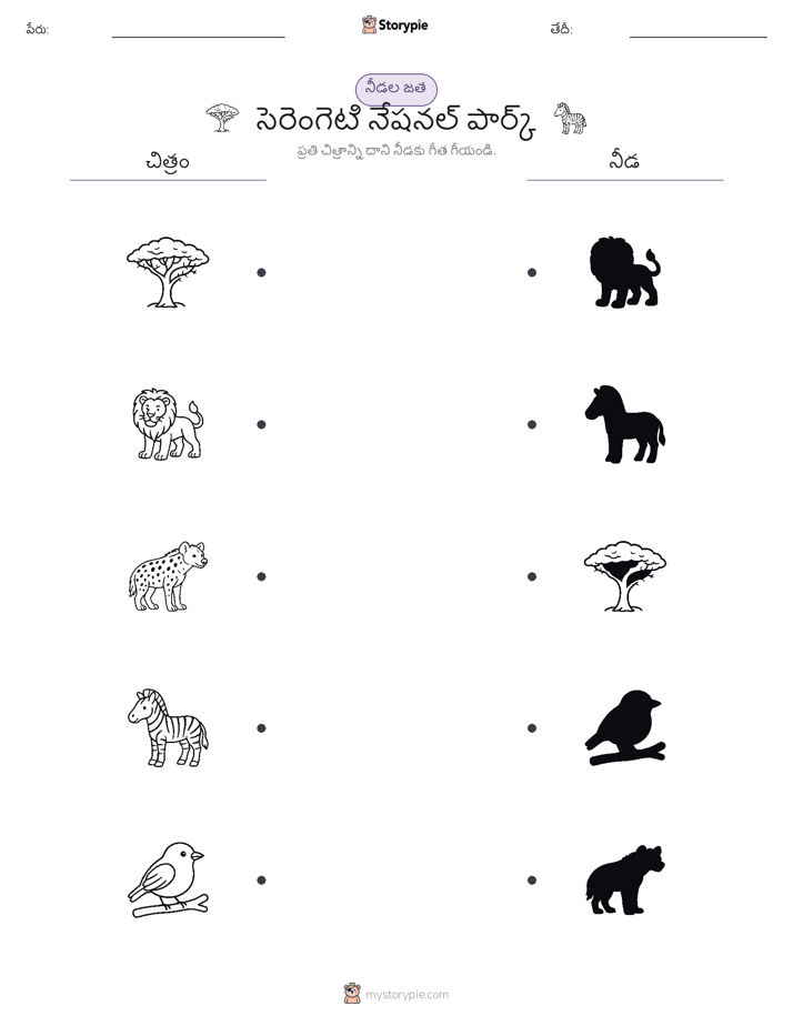 షాడో మ్యాచ్