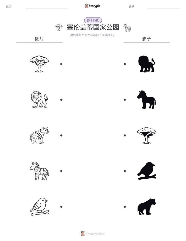 影子匹配