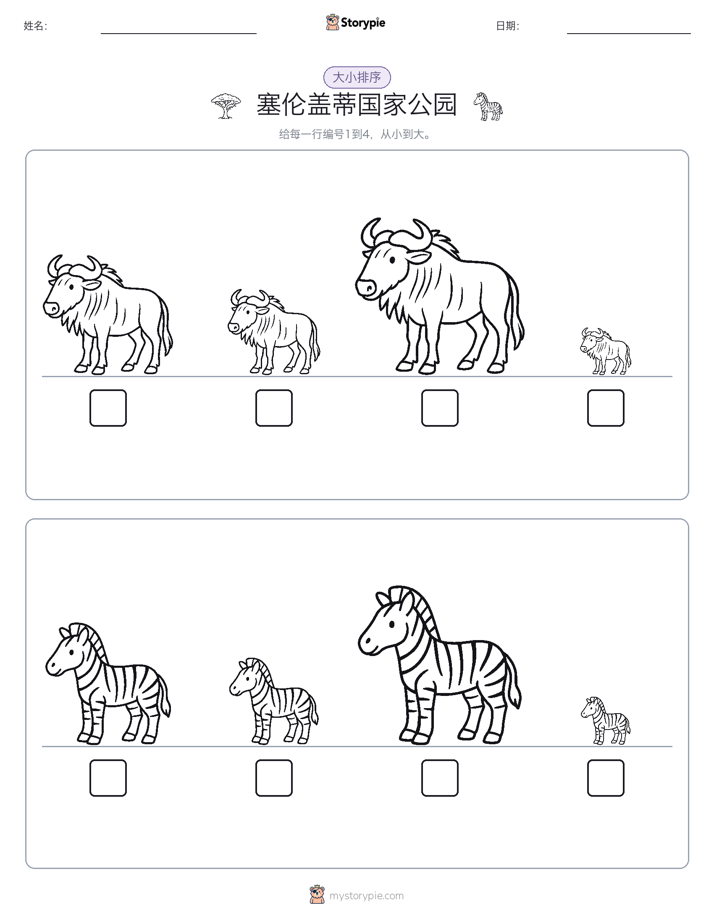 大小排序