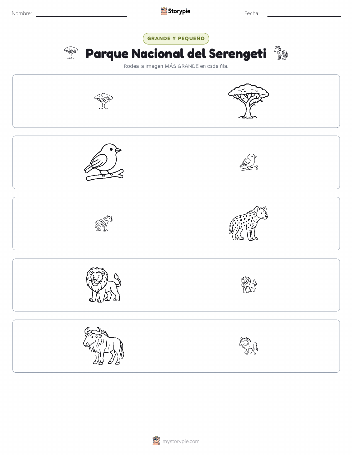 Clasificación