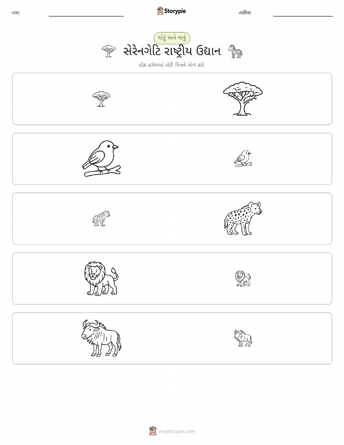 વર્ગીકરણ