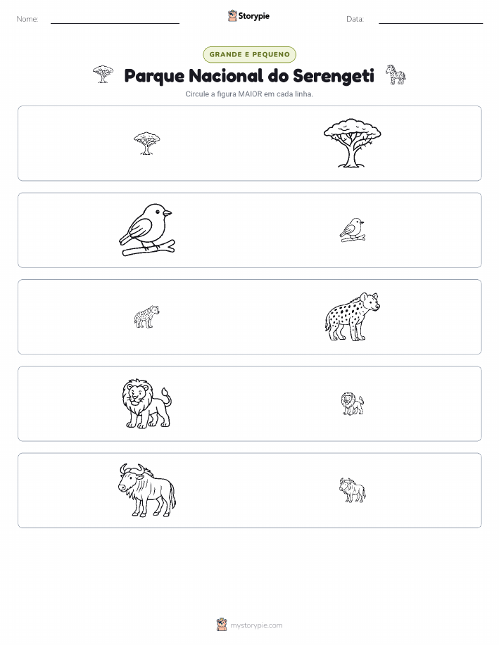 Classificação