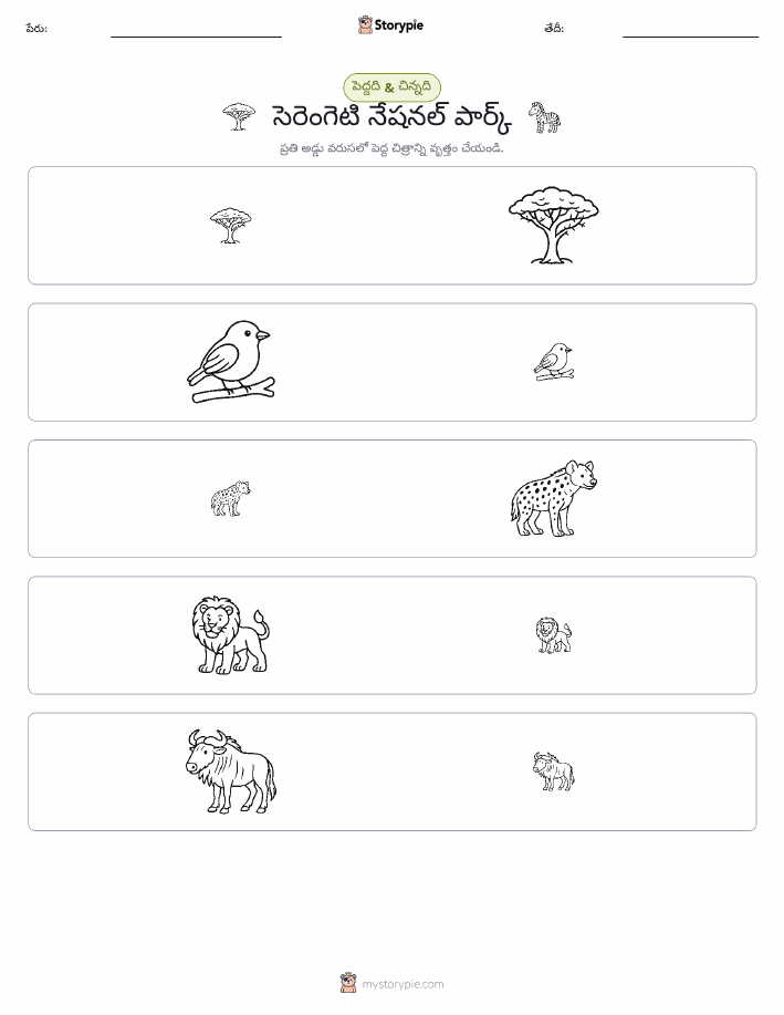 వర్గీకరణ