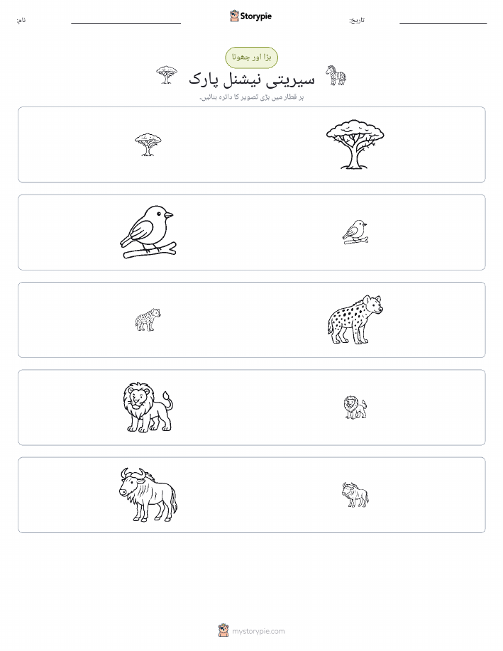 ترتیب دینا