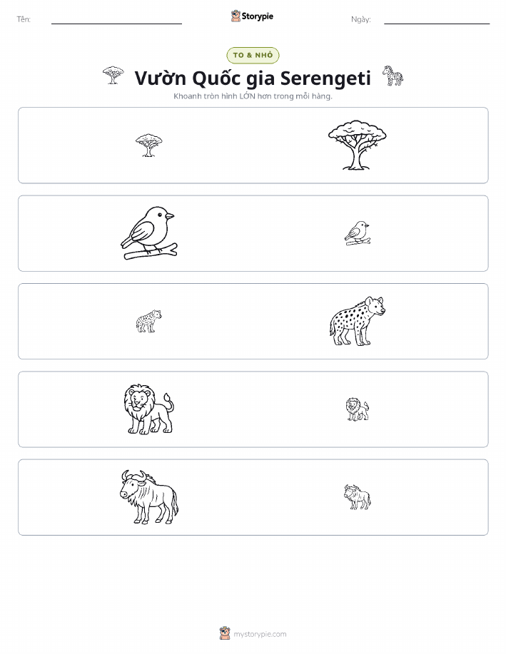 Phân Loại