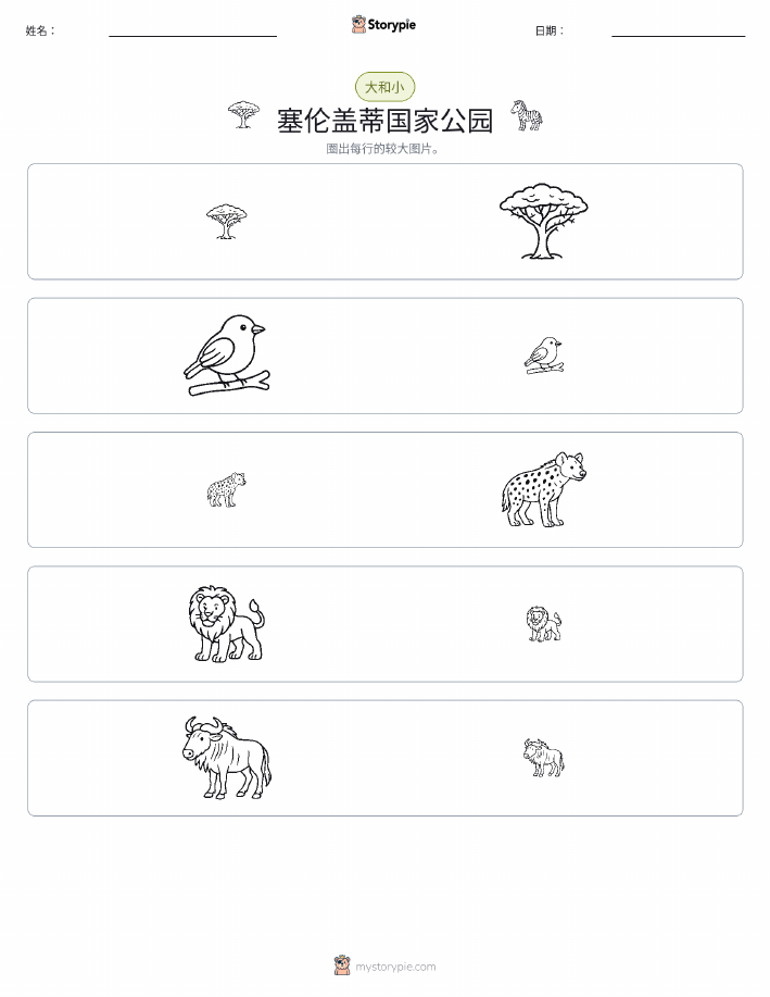 分类