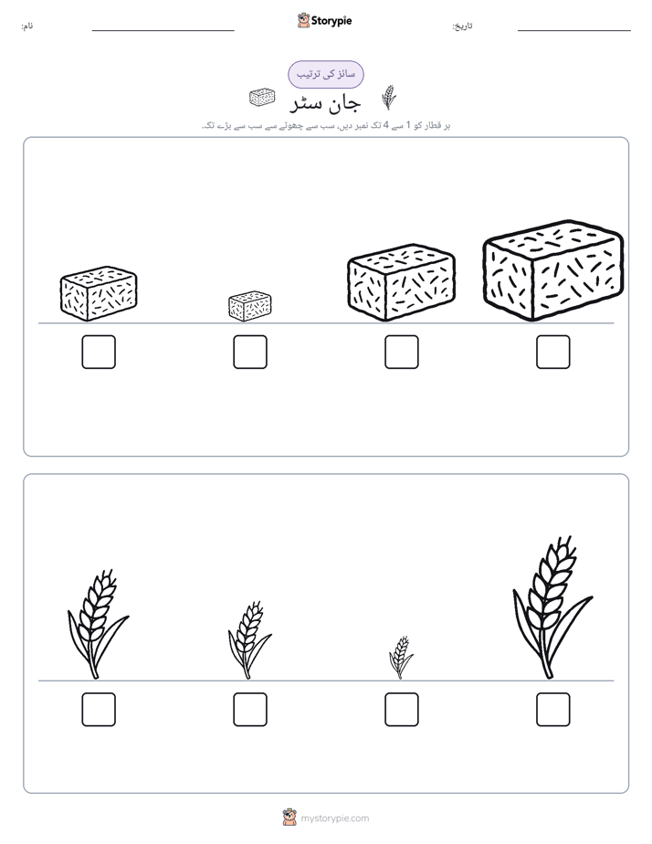 سائز کی ترتیب