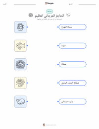 ورقة عمل قابلة للطباعة الحاجز المرجاني العظيم للأطفال