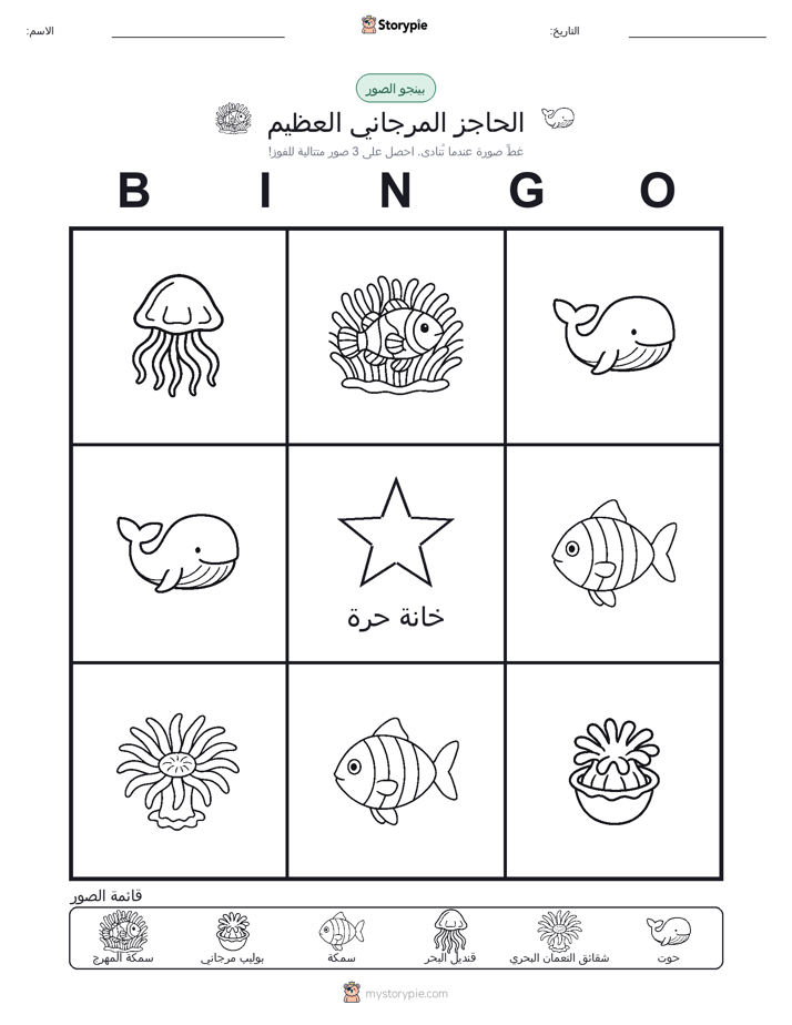 بينغو الصور
