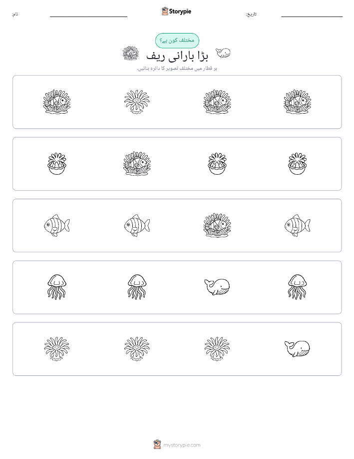 عجیب ایک