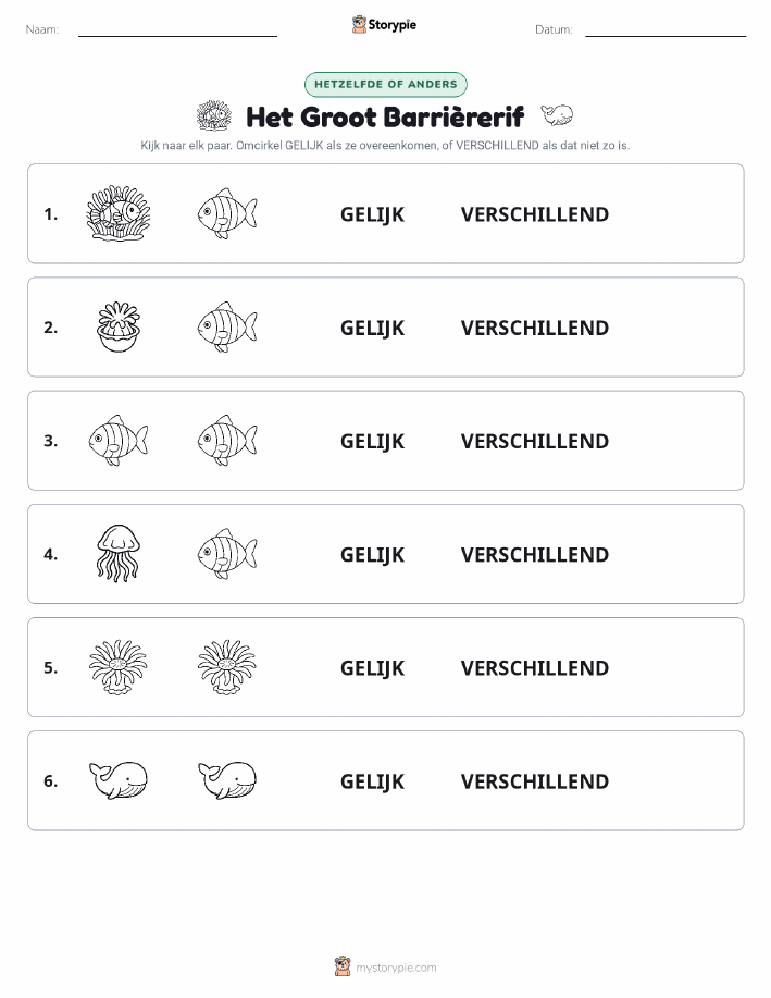 Zelfde of Verschillend