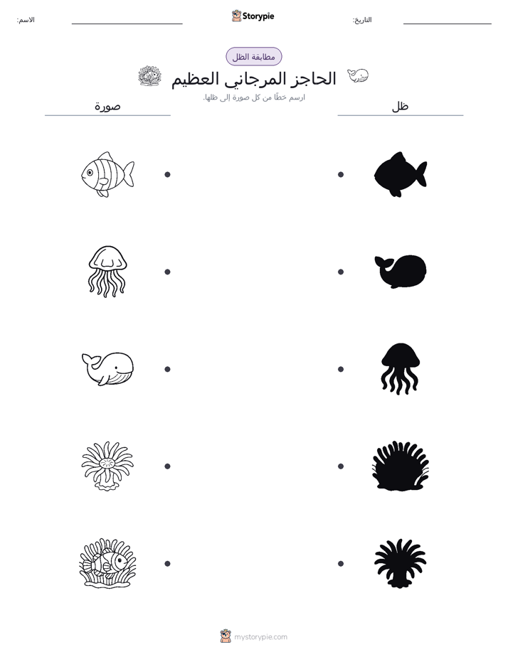 مطابقة الظل