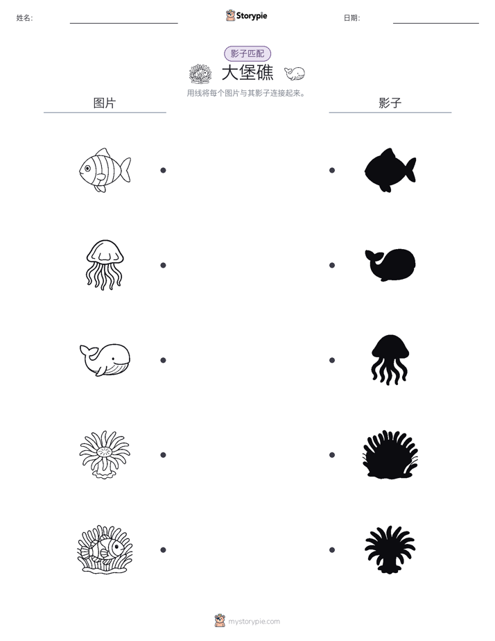 影子匹配