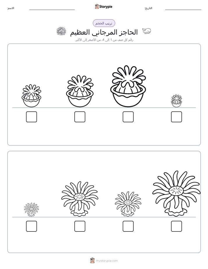 ترتيب الحجم