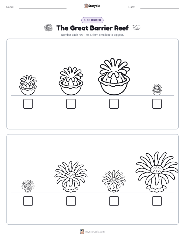 Size Order