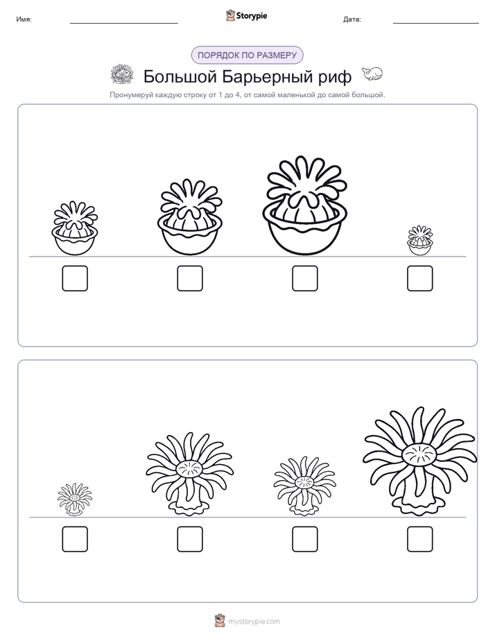 Размеры в порядке