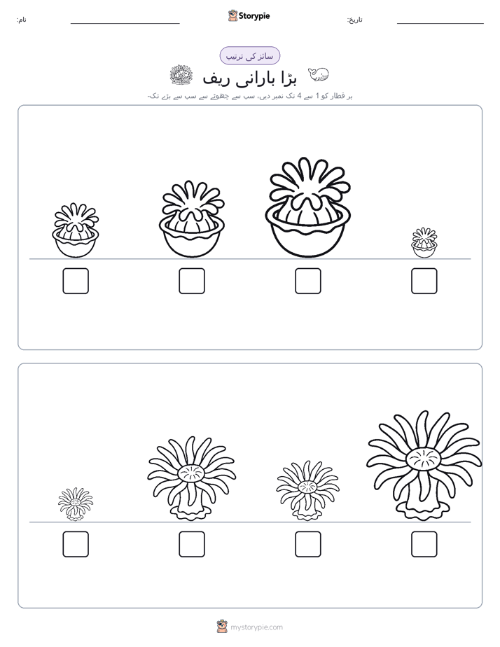سائز کی ترتیب