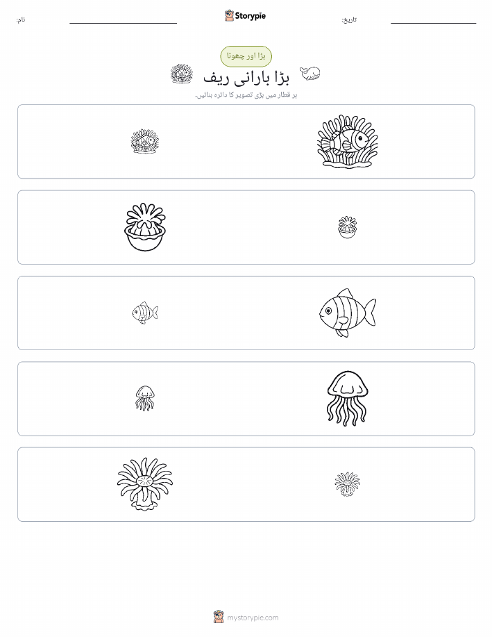 ترتیب دینا