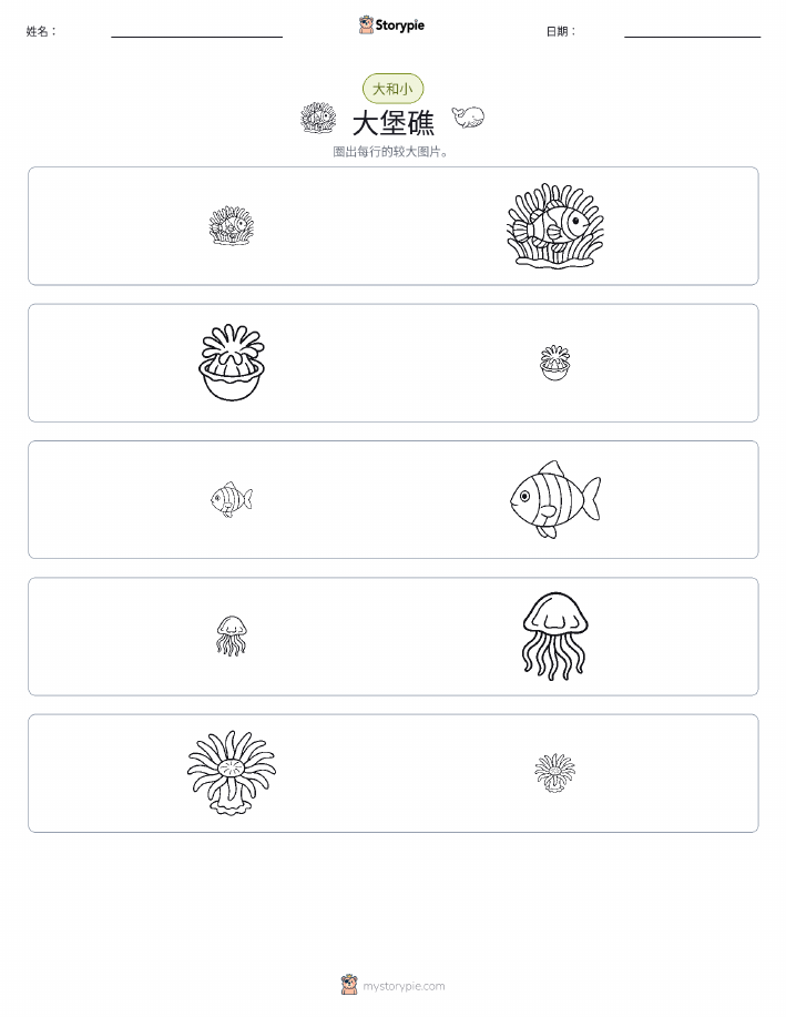 分类