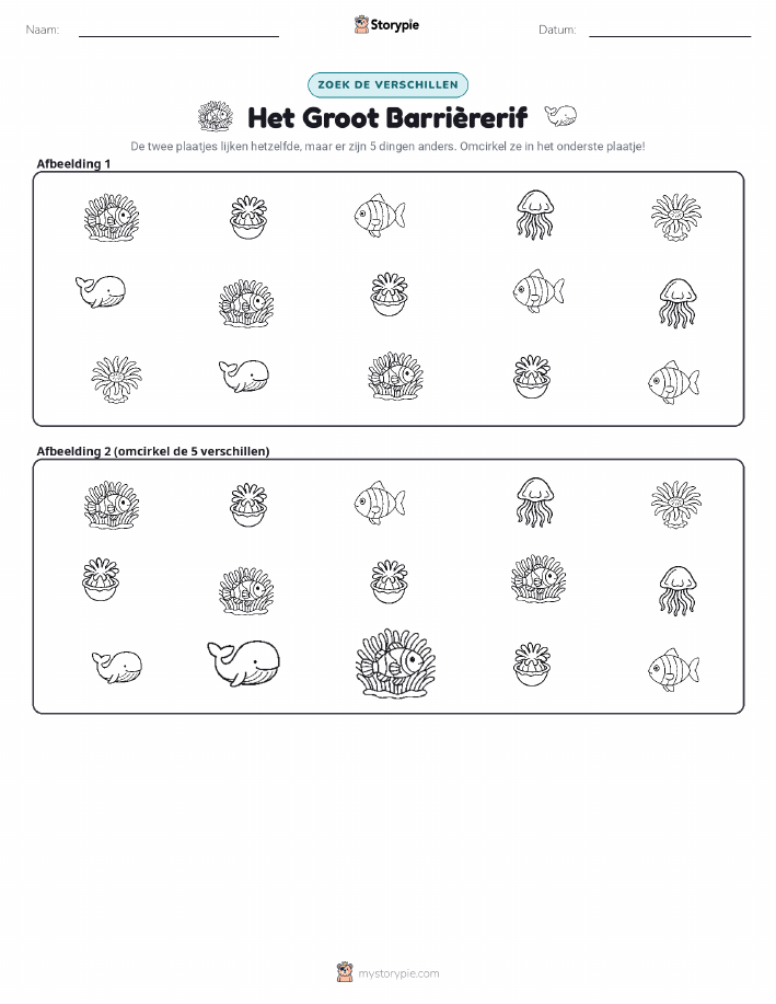 Vind het Verschil