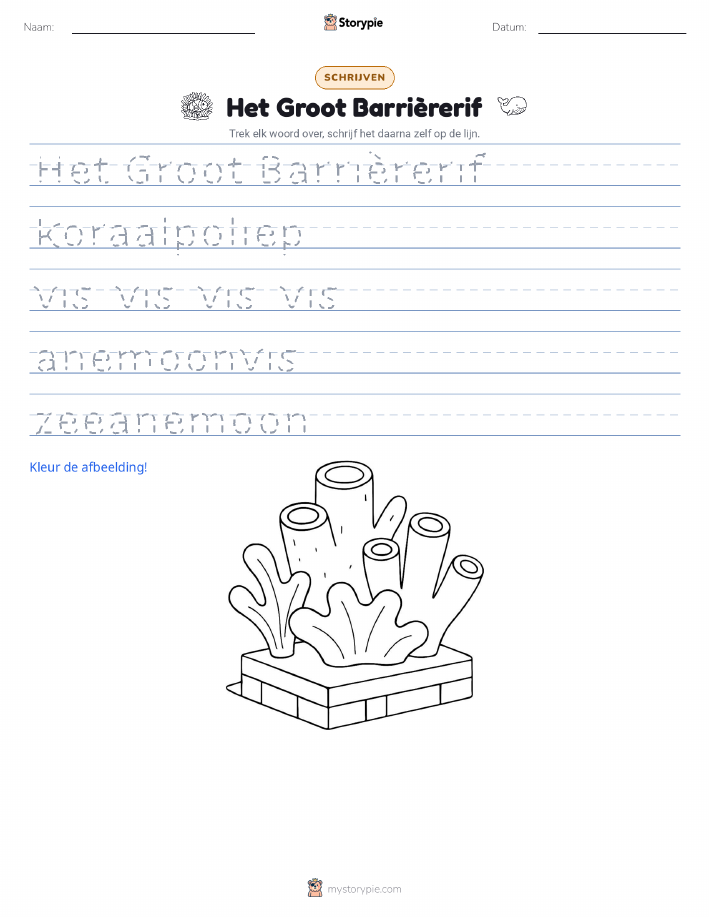 Schrijf Oefening