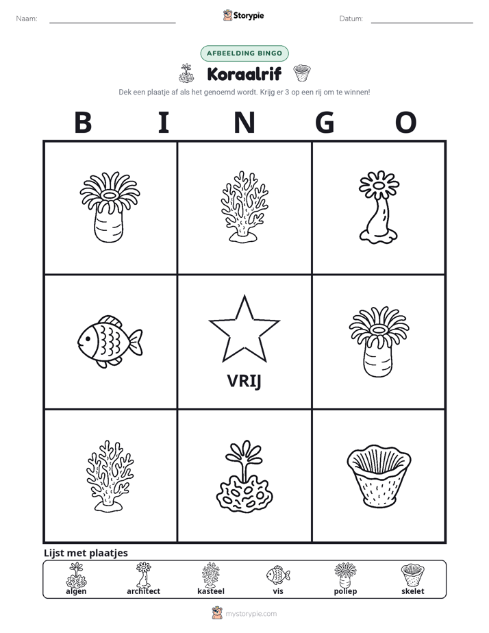 Afbeelding Bingo