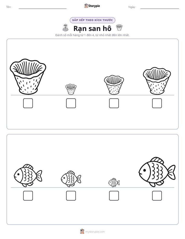 Thứ Tự Kích Thước