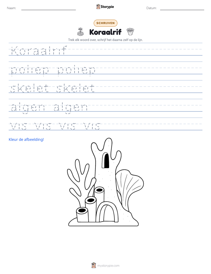 Schrijf Oefening