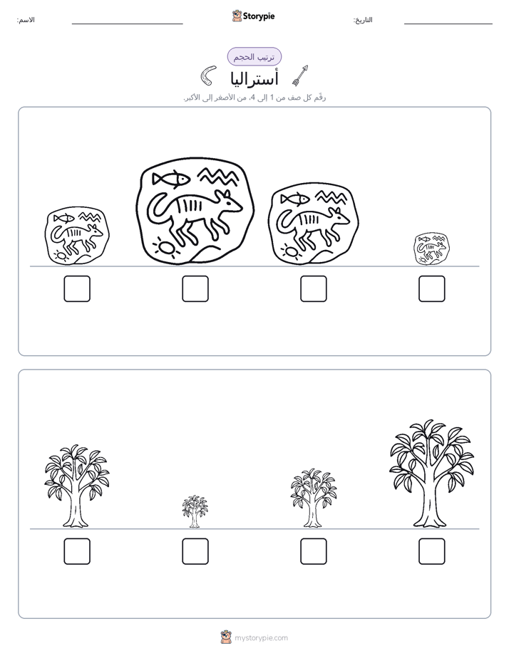 ترتيب الحجم